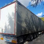 Profi_2015 (6)